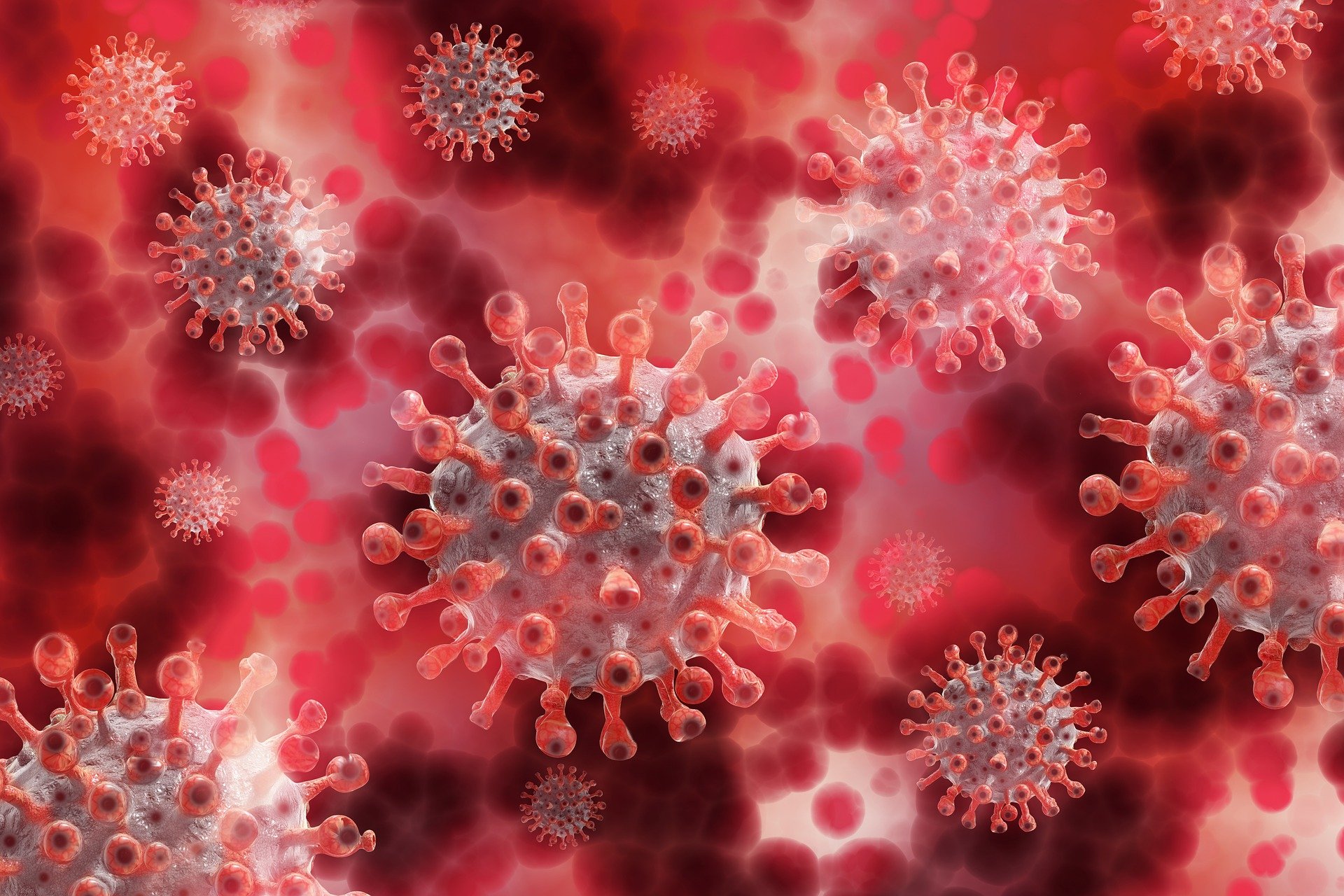 Actualización Epidemiológica: Enfermedad por coronavirus (COVID-19)